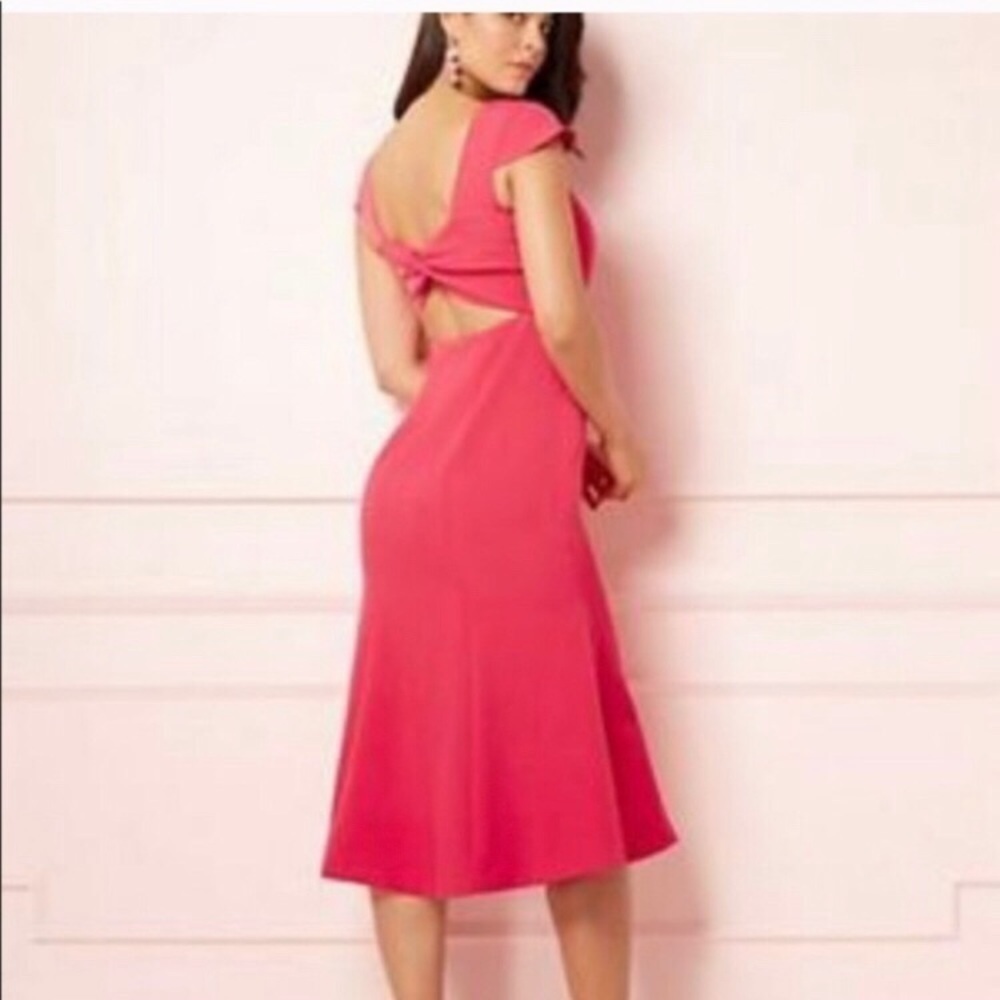 Eva Mendes Pink Hoda Flare Dress Size 0 NWT